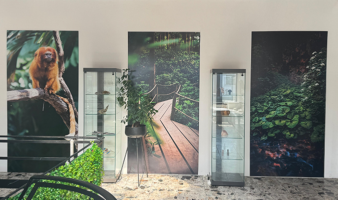 Afbeelding van de kantoor jungle van Monkey Mind Studios in Almere.